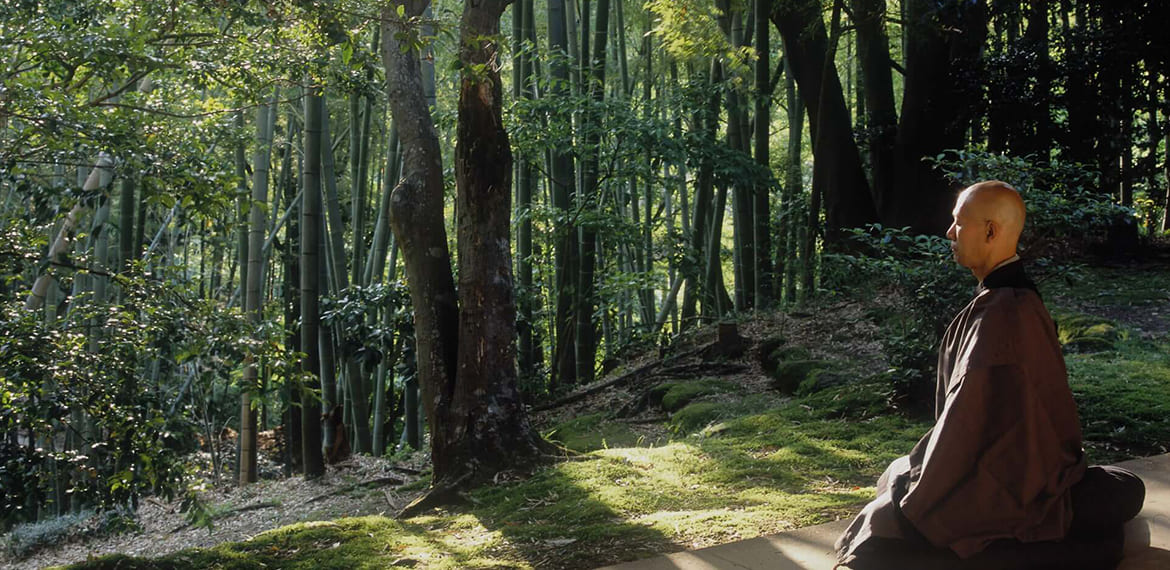 What is Sustainability?