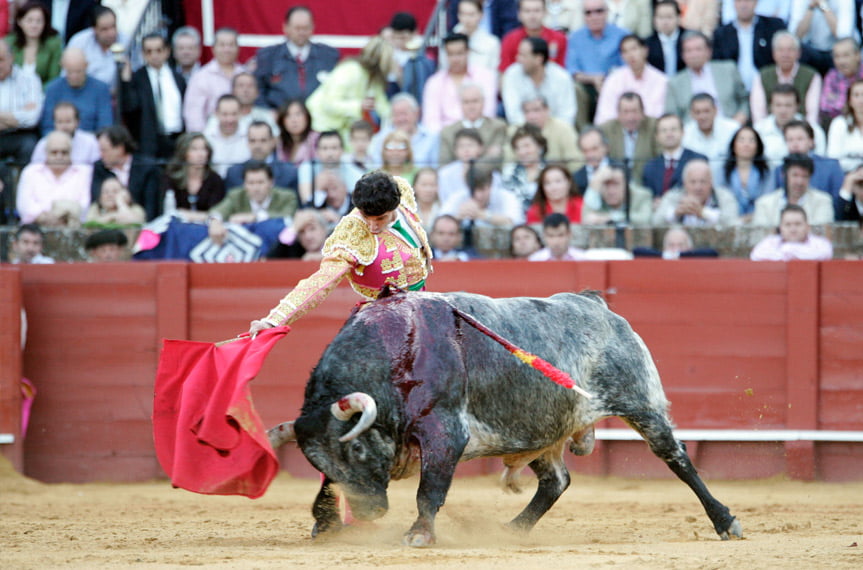 bullfighting in Spain