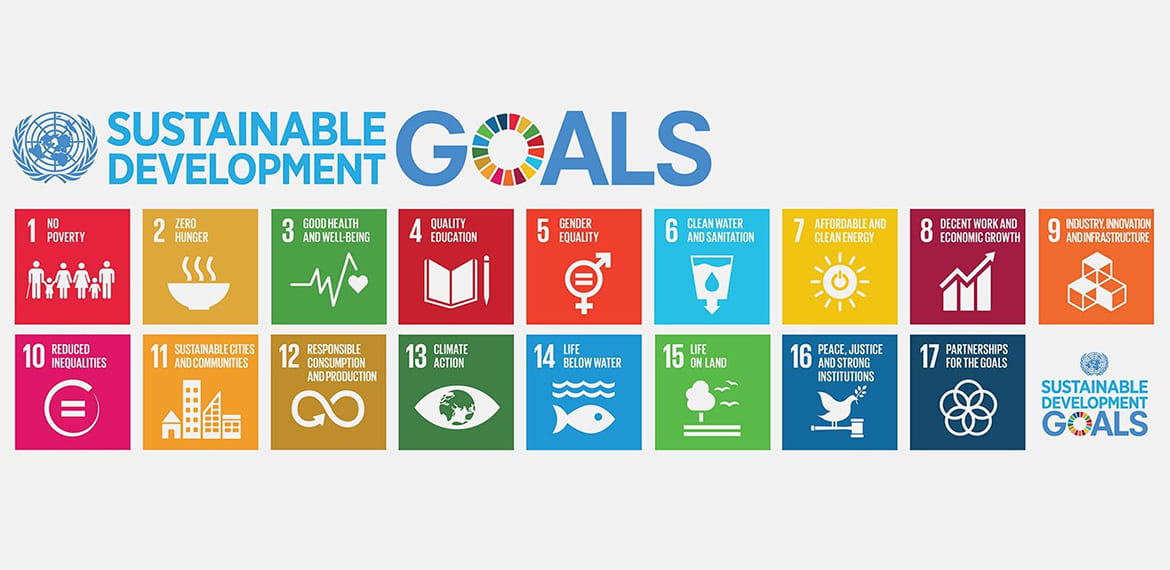 The Year of Sustainable Tourism
