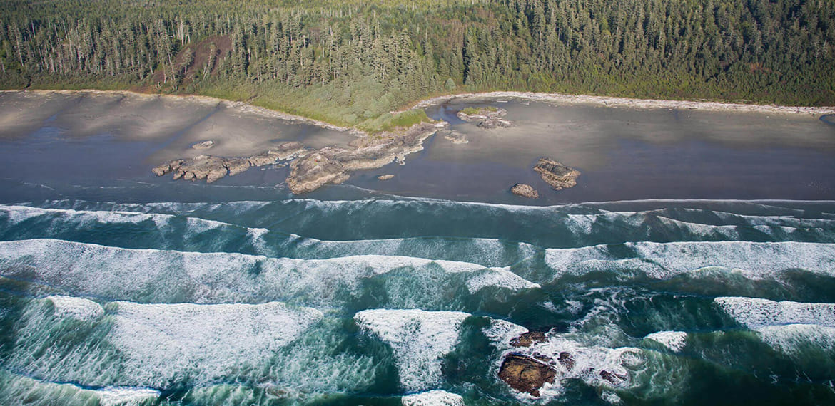 Why We’re Loving Tofino