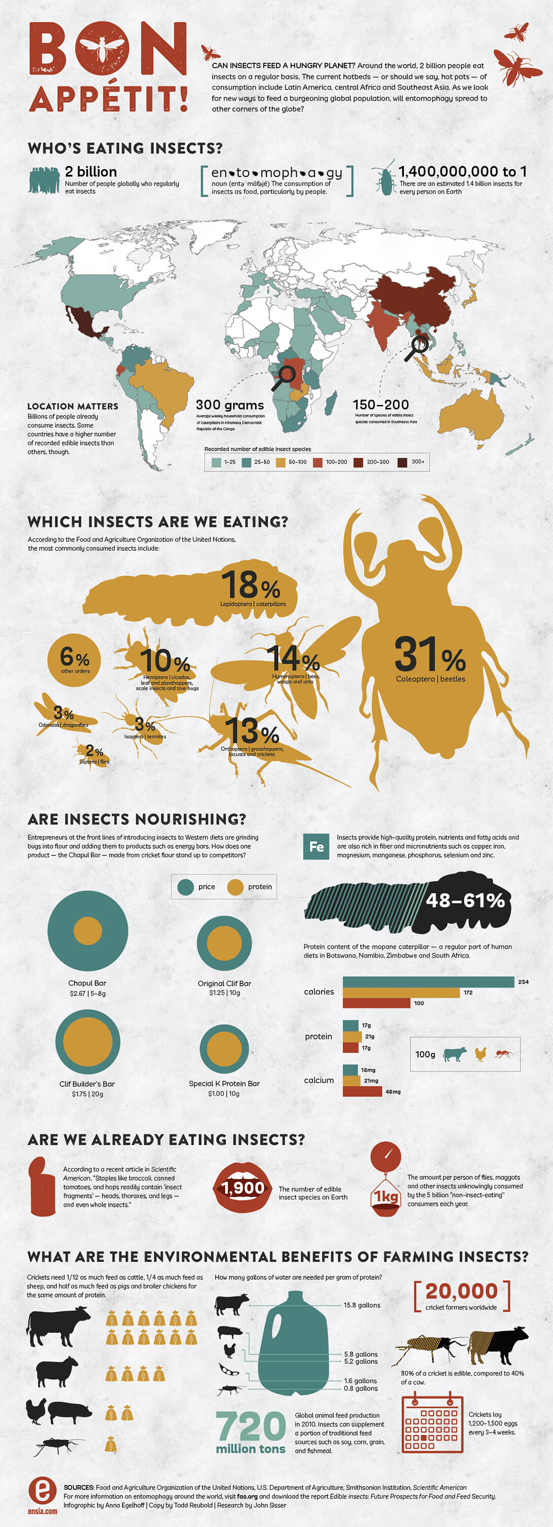 Edible insects